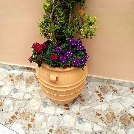 Apartment Joy New Port Corfu Town *